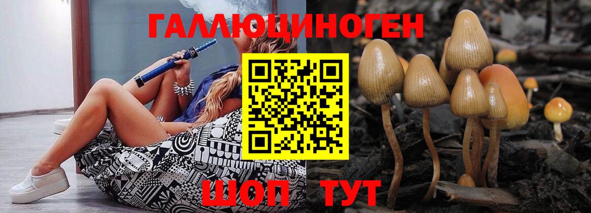 Нарткала  Псилоцибиновые грибы Psilocybine cubensis  Вход с VPN  Галлюциногенные грибы MAGIC MUSHROOMS 